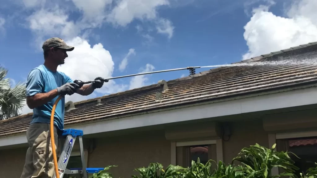 Roof Cleaning Services